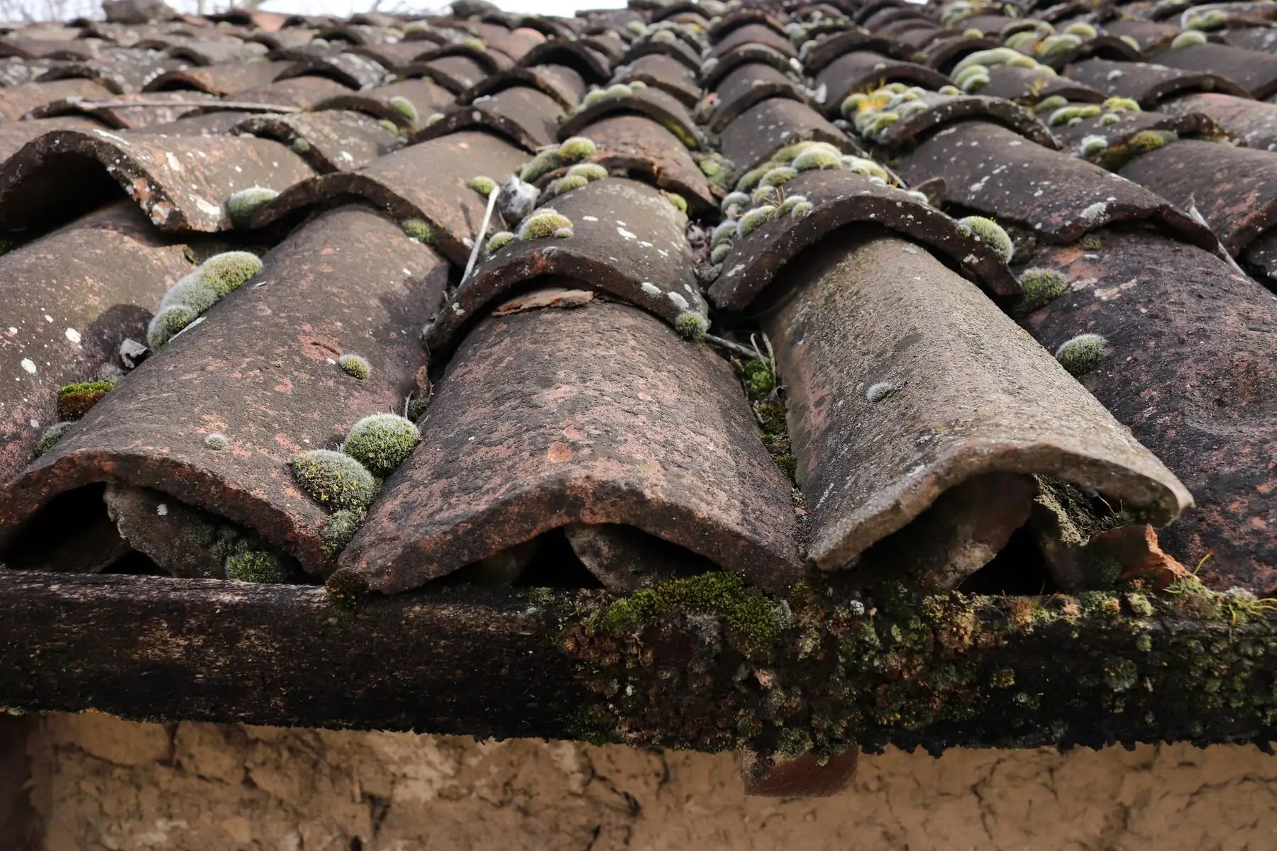 Coussins de mousse installés entre les rangs de tuiles canal anciennes